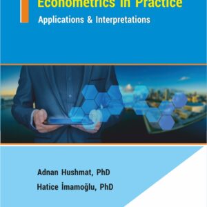 Econometrics in Practice: Applications & Interpretations