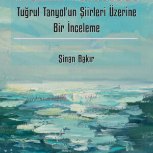 İmgenin Yolculuğu