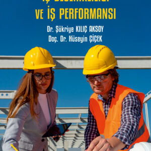 İş Güvenliği Bağlamında İş Becerikliliği ve İş Performansı
