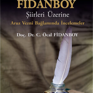 Vedat Fidanboy Şiirleri Üzerine