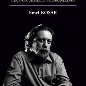 W. B. Bayrıl Şiiri “Geçiyor Sessizce Sularınızdan”